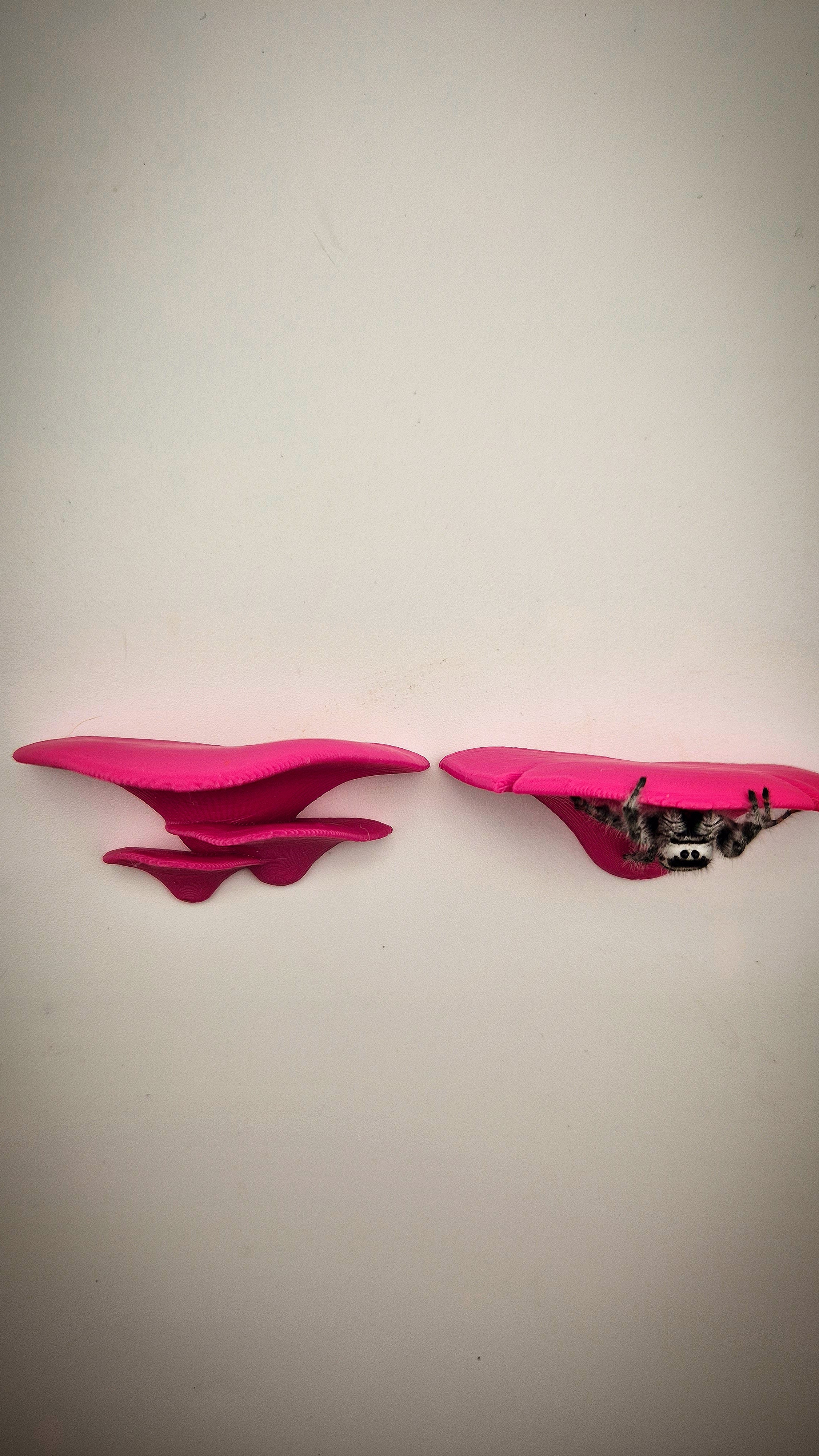 Mushroom jumping ledges