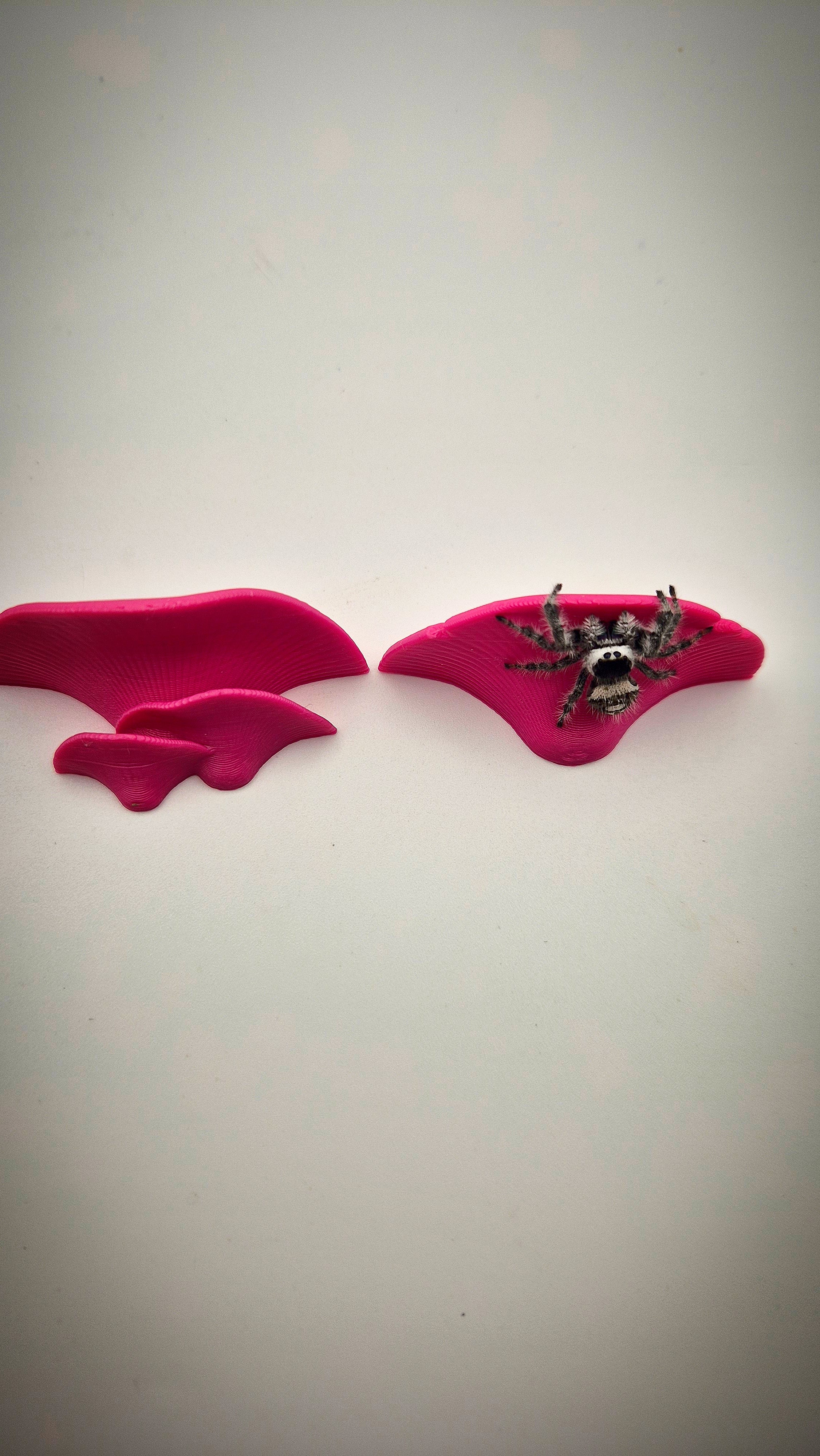 Mushroom jumping ledges