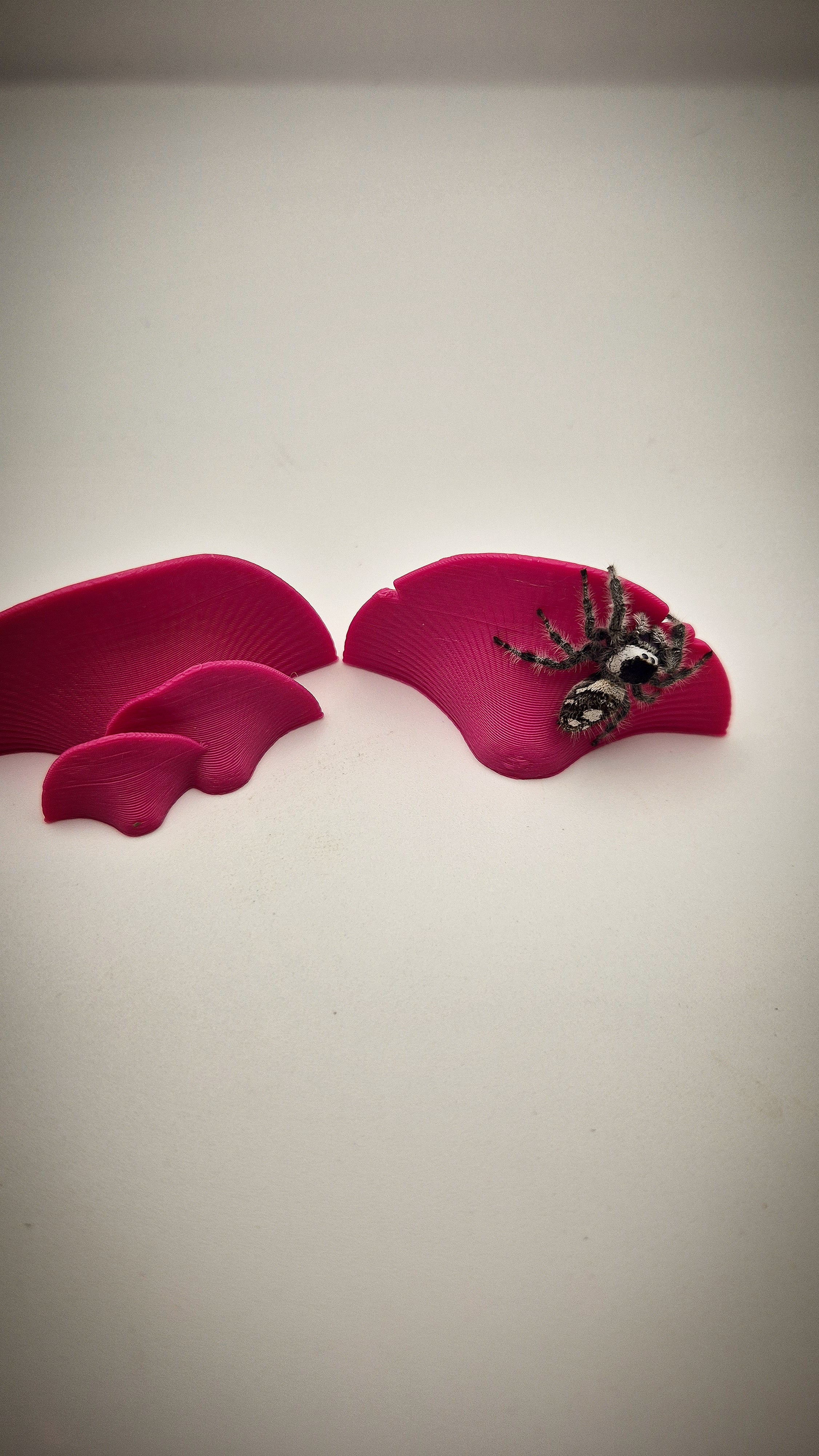 Mushroom jumping ledges